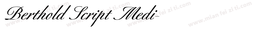 Berthold Script Medi字体转换